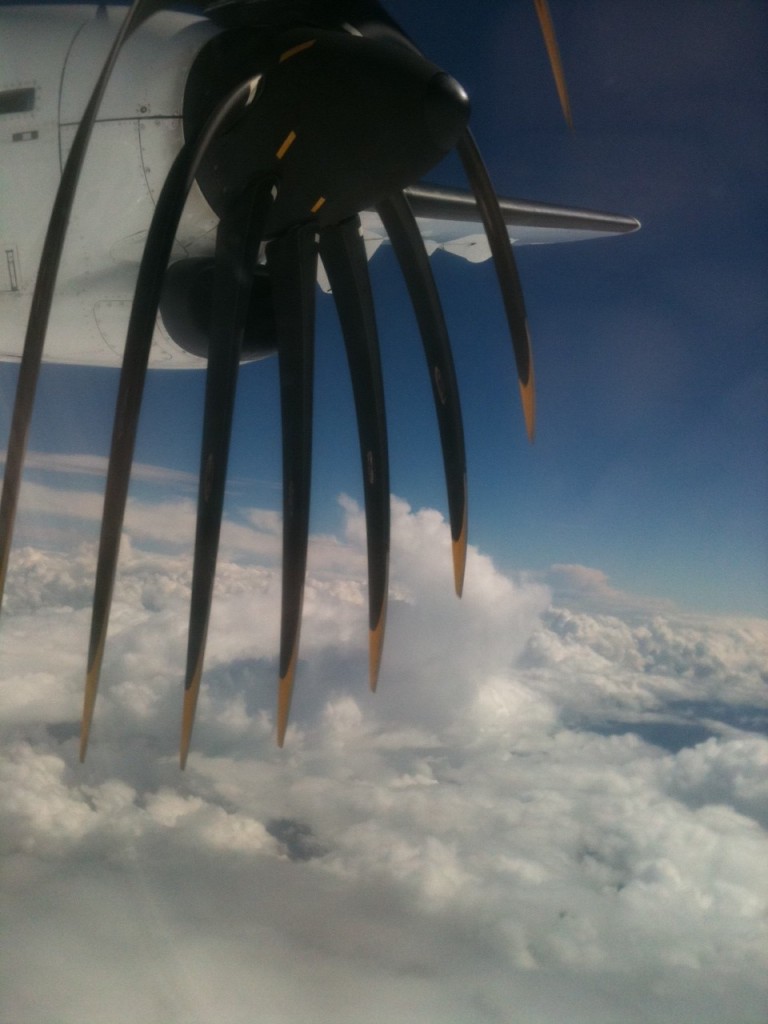 a plane wing with propeller