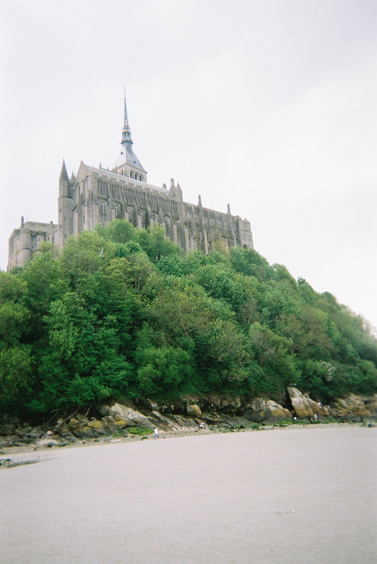 a castle on a hill with trees with Mont Saint-Michel in the background