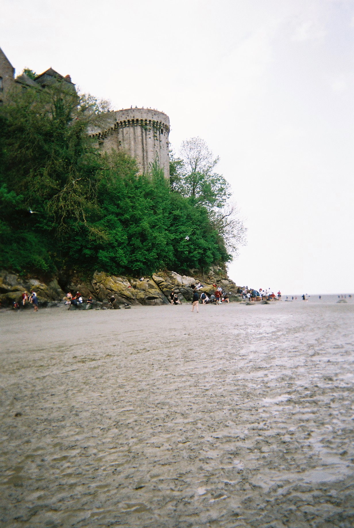 a beach with a castle and trees