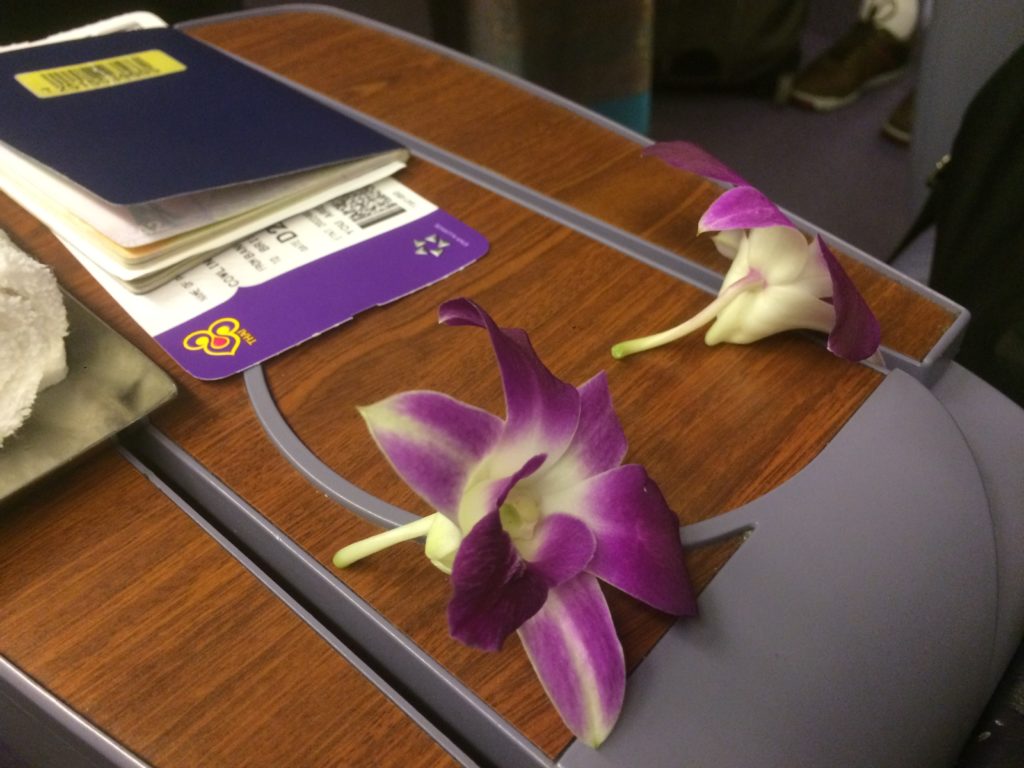 purple flowers on a table