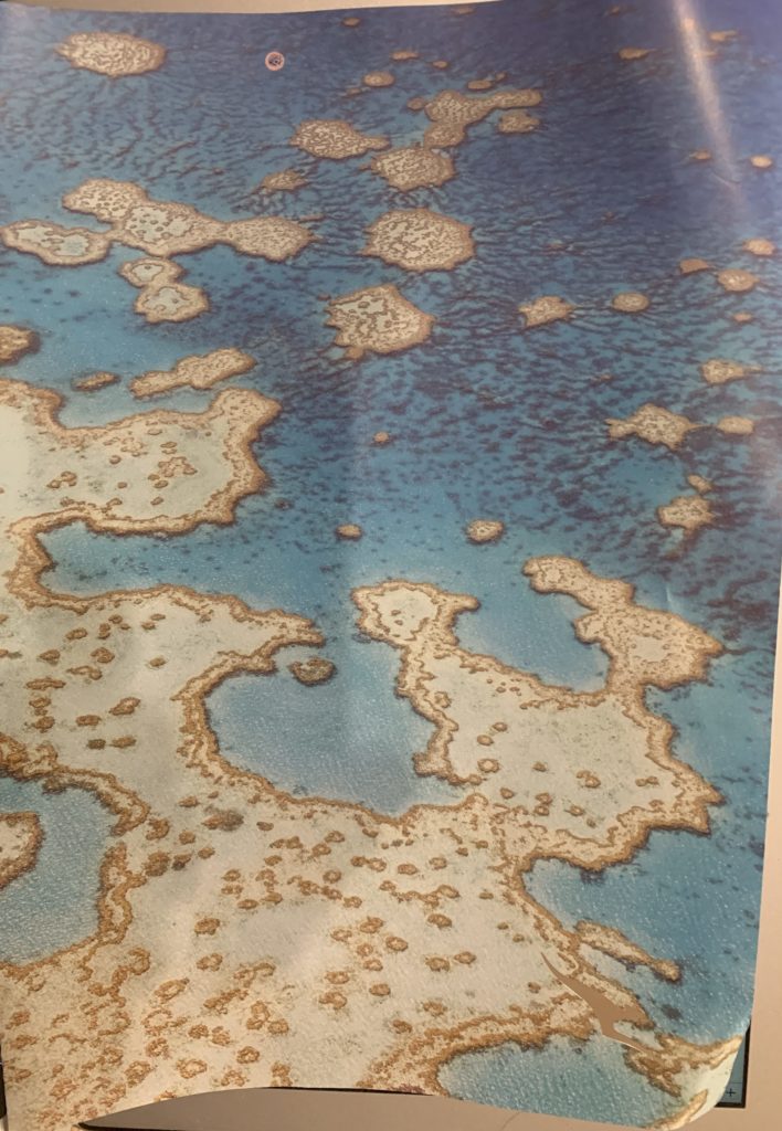 a map of the ocean