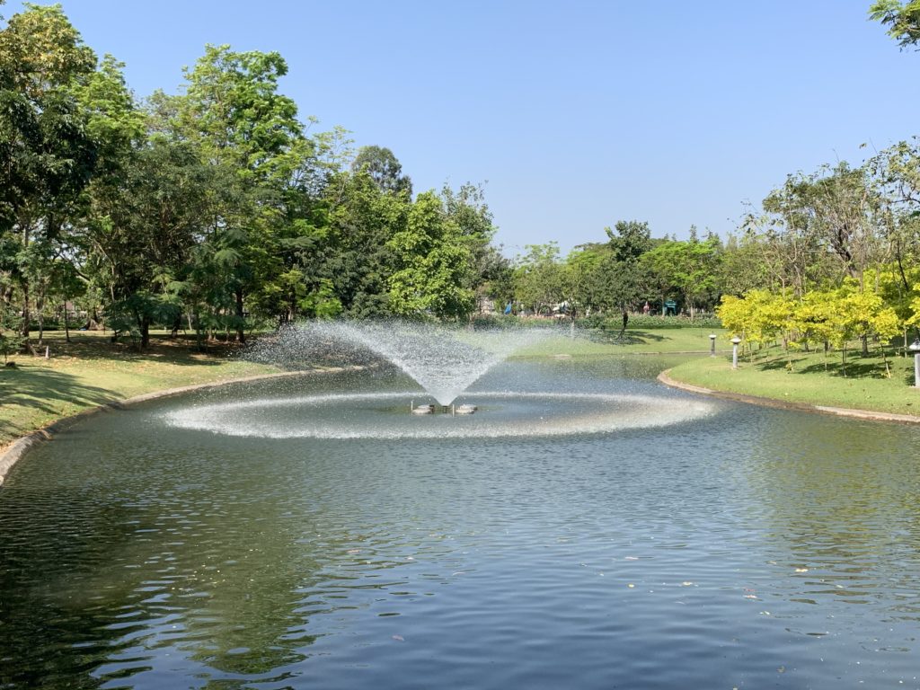a water fountain in a pond