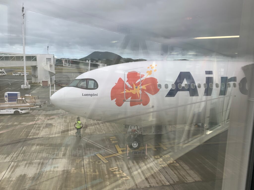 a plane with a flower on the side