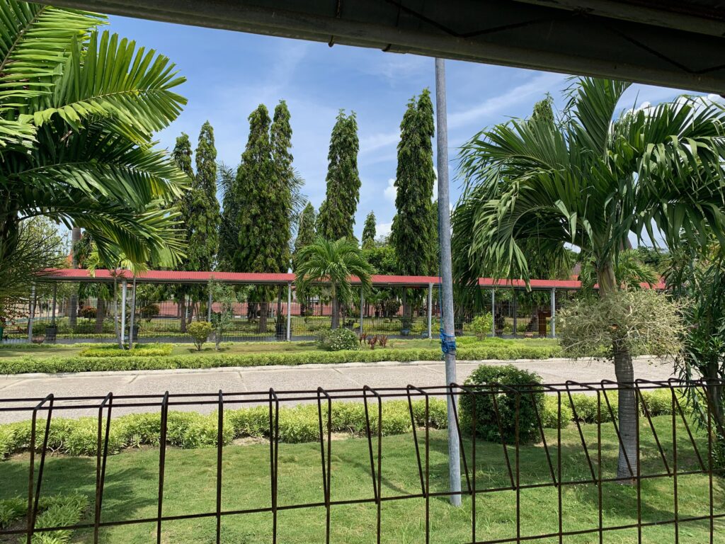 a fenced in area with trees and bushes