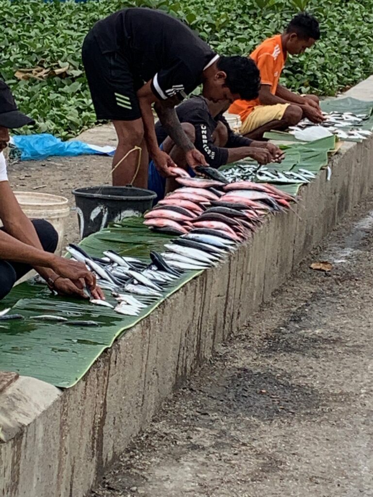 a group of people sitting on a wall with fish