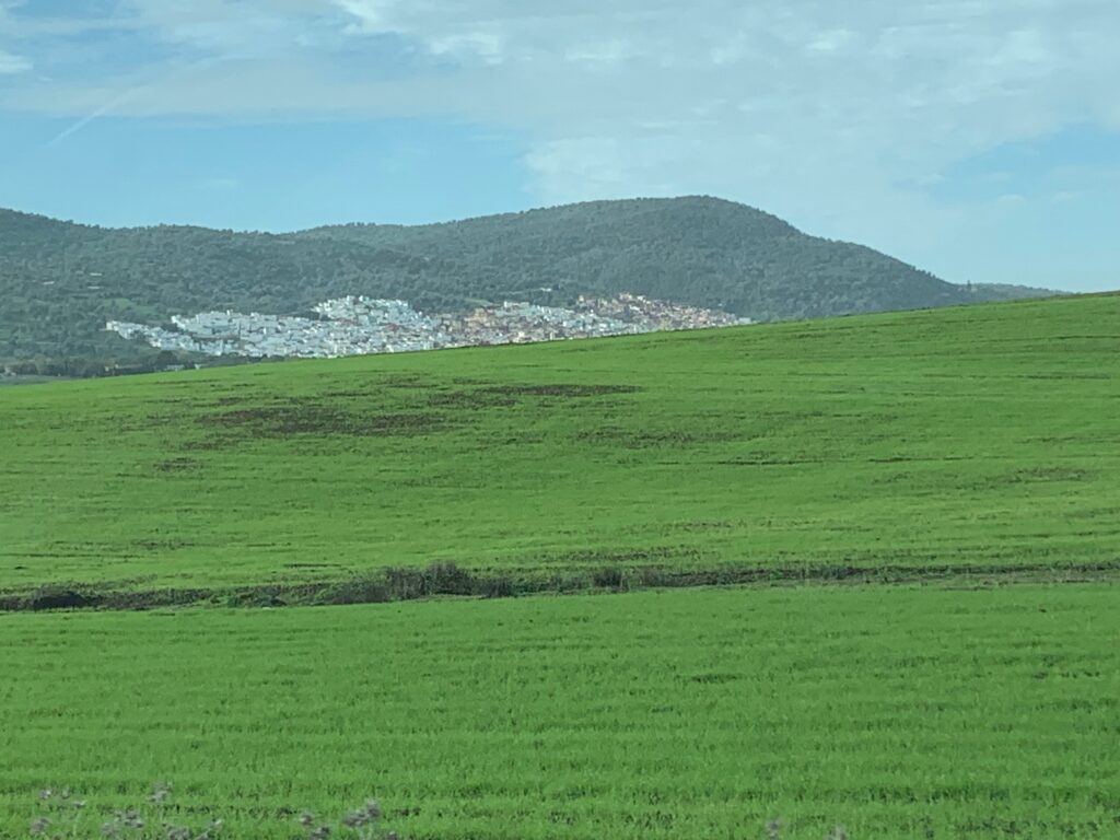 a green field with a hill in the background