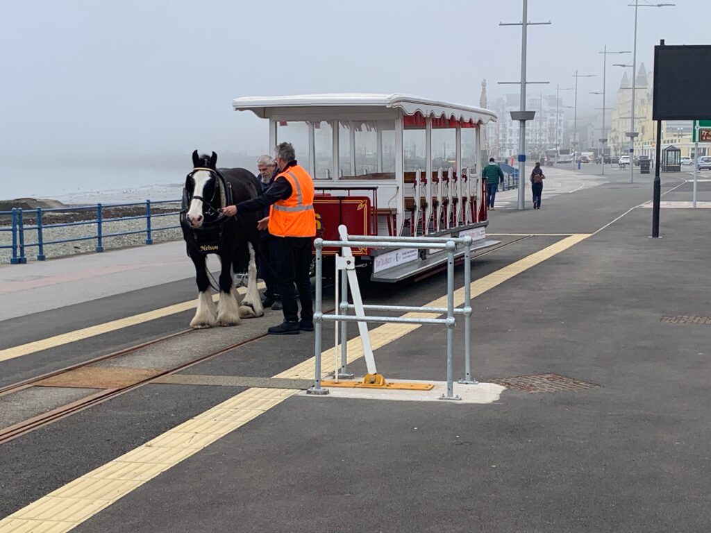 a horse pulling a trolley