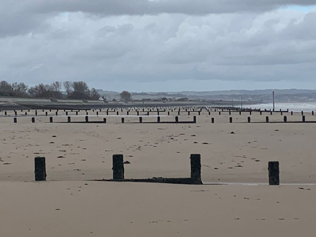 a beach with wooden posts