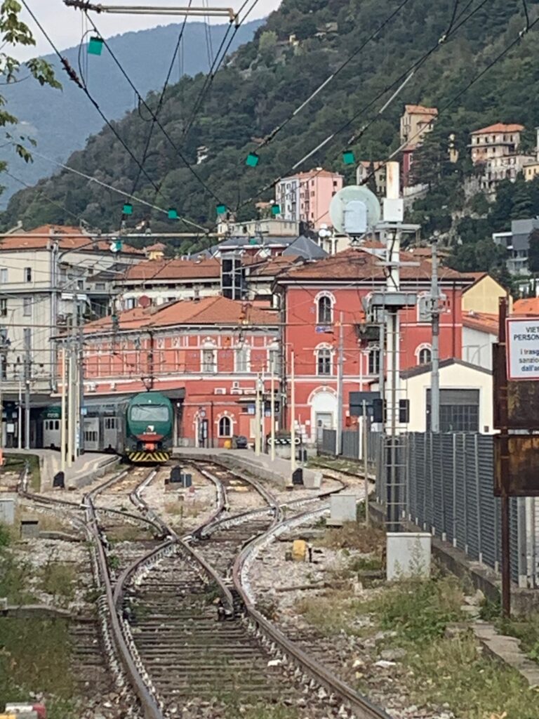 train on the tracks in a town