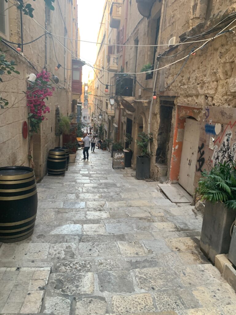 a stone alleyway with plants and a person walking