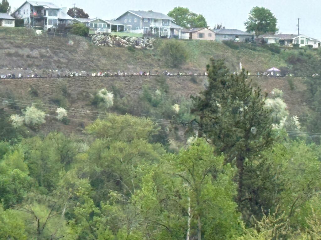 a group of people walking on a hill with trees