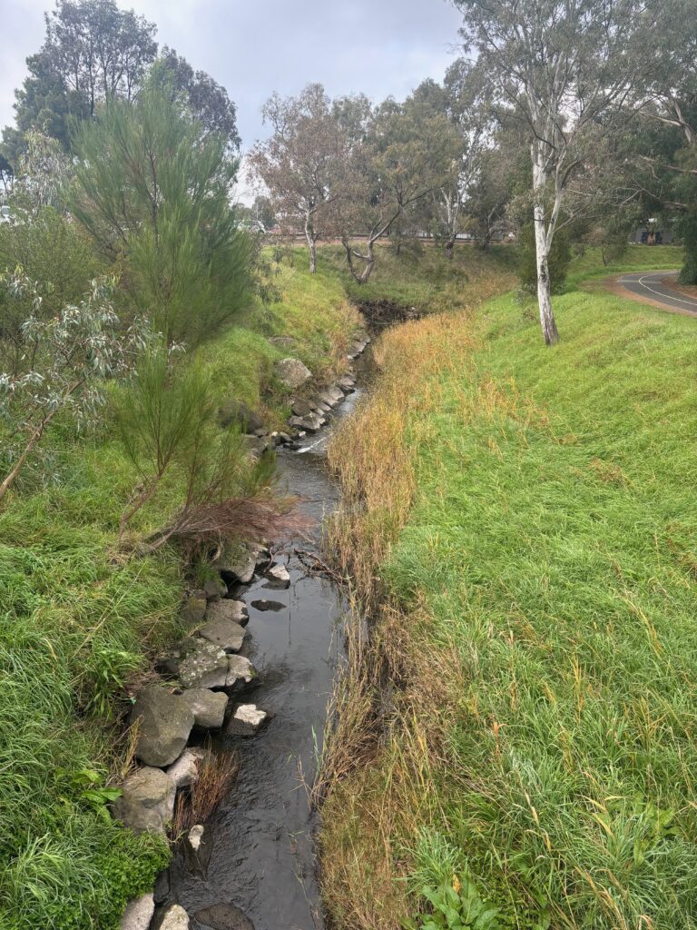 a stream running through a grassy area