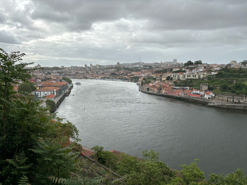 a river with buildings and trees