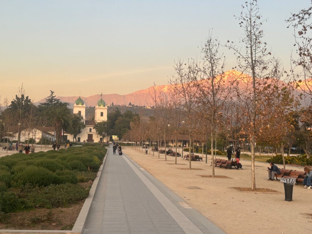 a path with trees and people walking on it