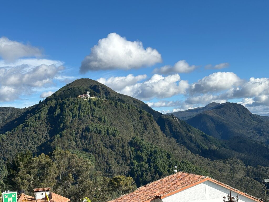 a mountain with trees and buildings in the background