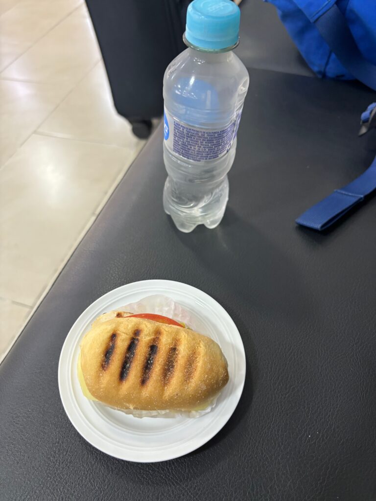 a sandwich on a plate next to a water bottle