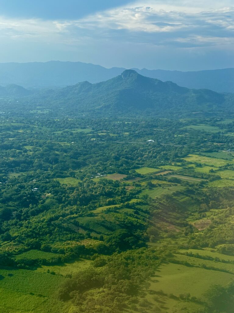 a landscape with trees and mountains