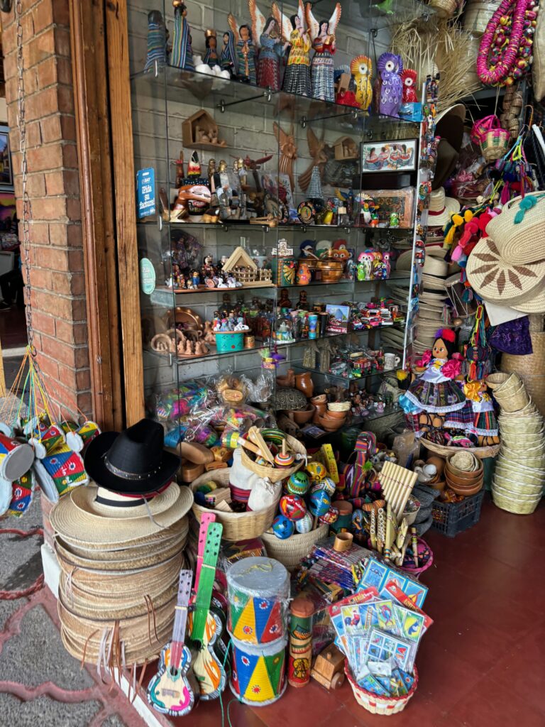 a store with a variety of items