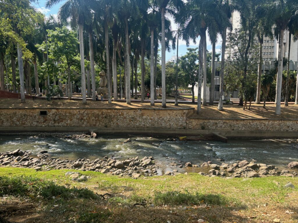 a river running through a park