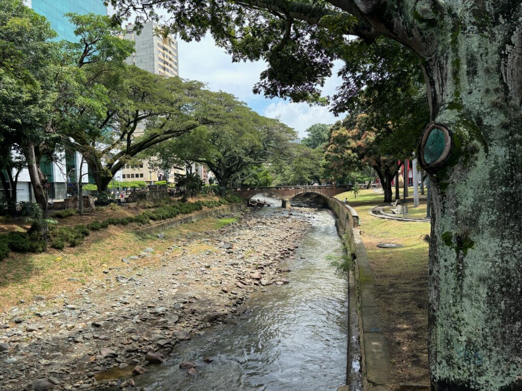 a river running through a park