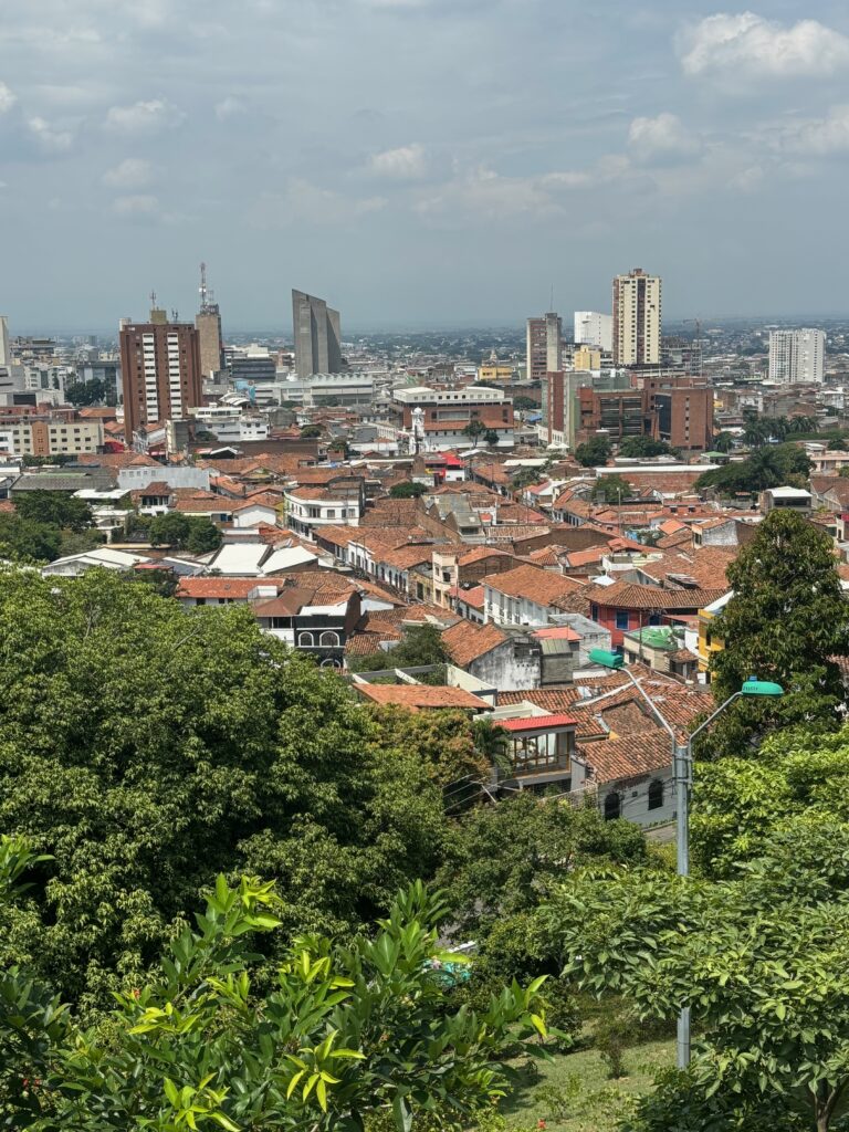 a city with many buildings and trees