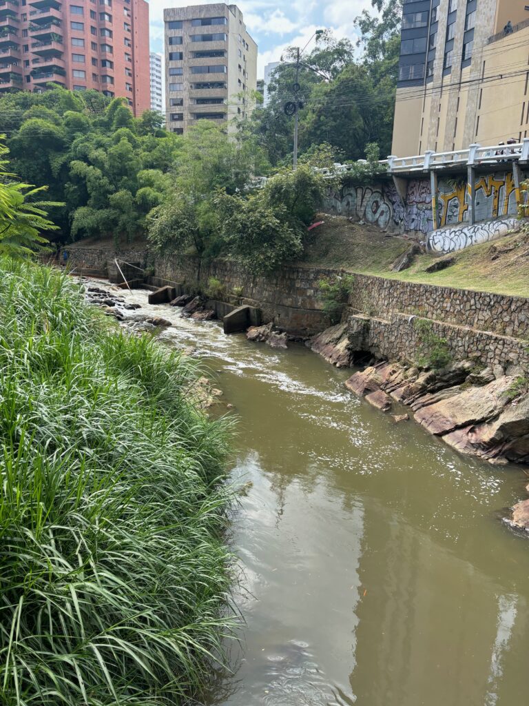 a river running through a city