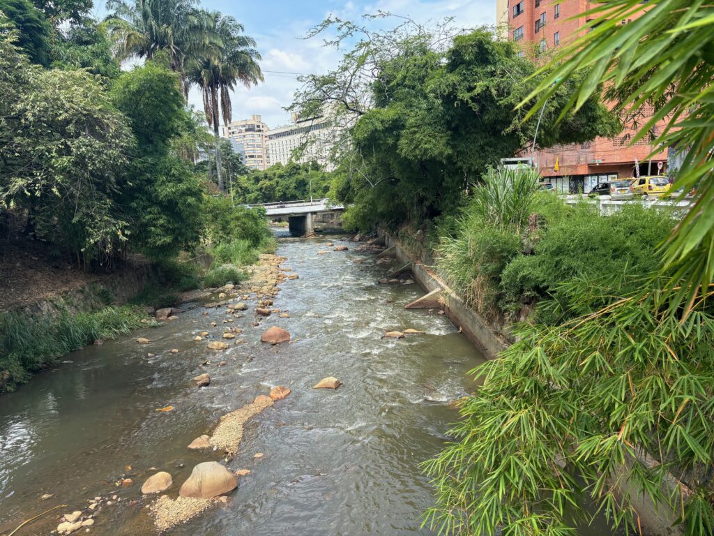 a river with rocks and trees