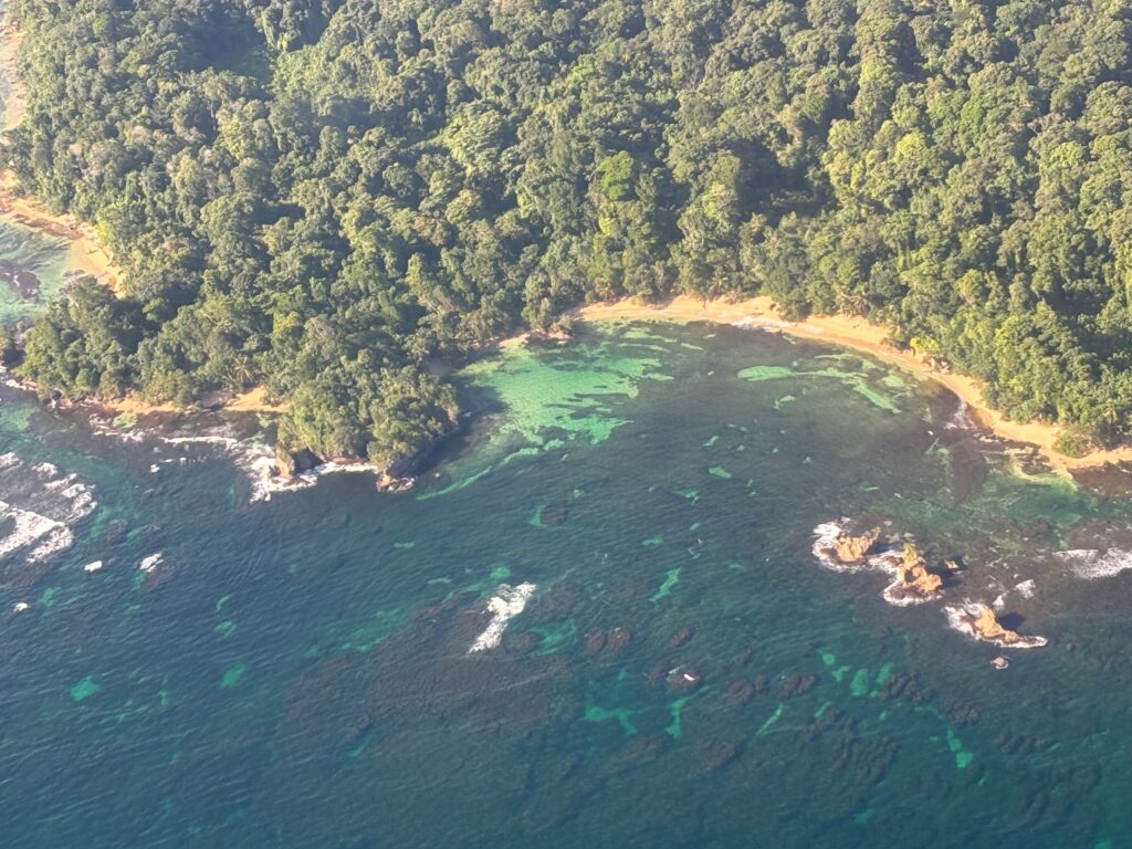 an aerial view of a beach with trees