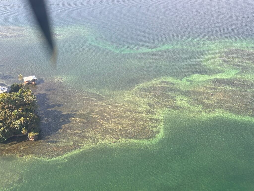 an island in the water