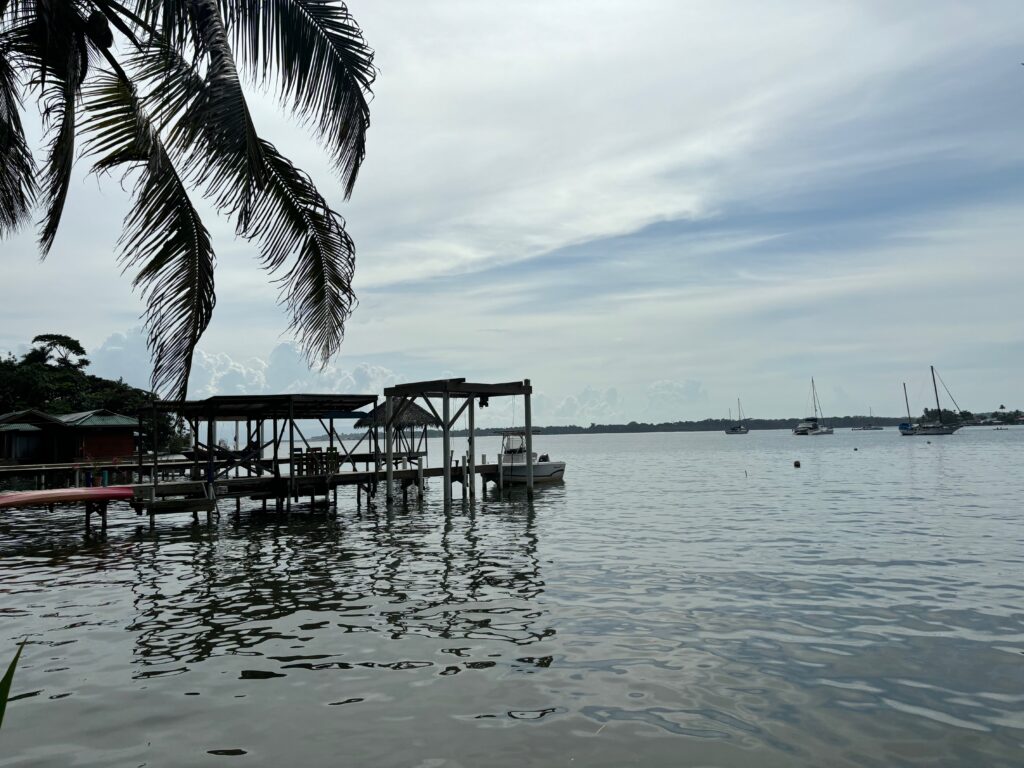 a dock on the water