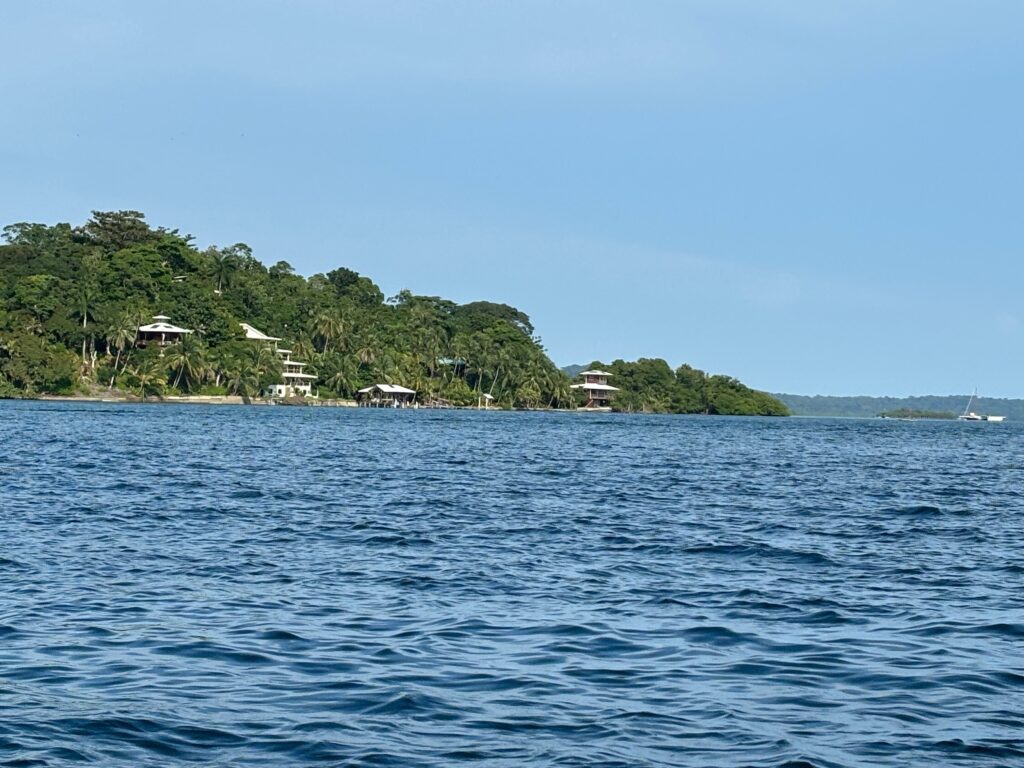 a body of water with buildings and trees