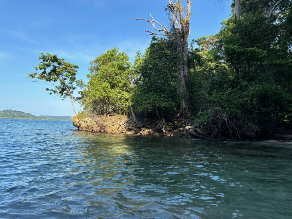 a body of water with trees and a blue sky