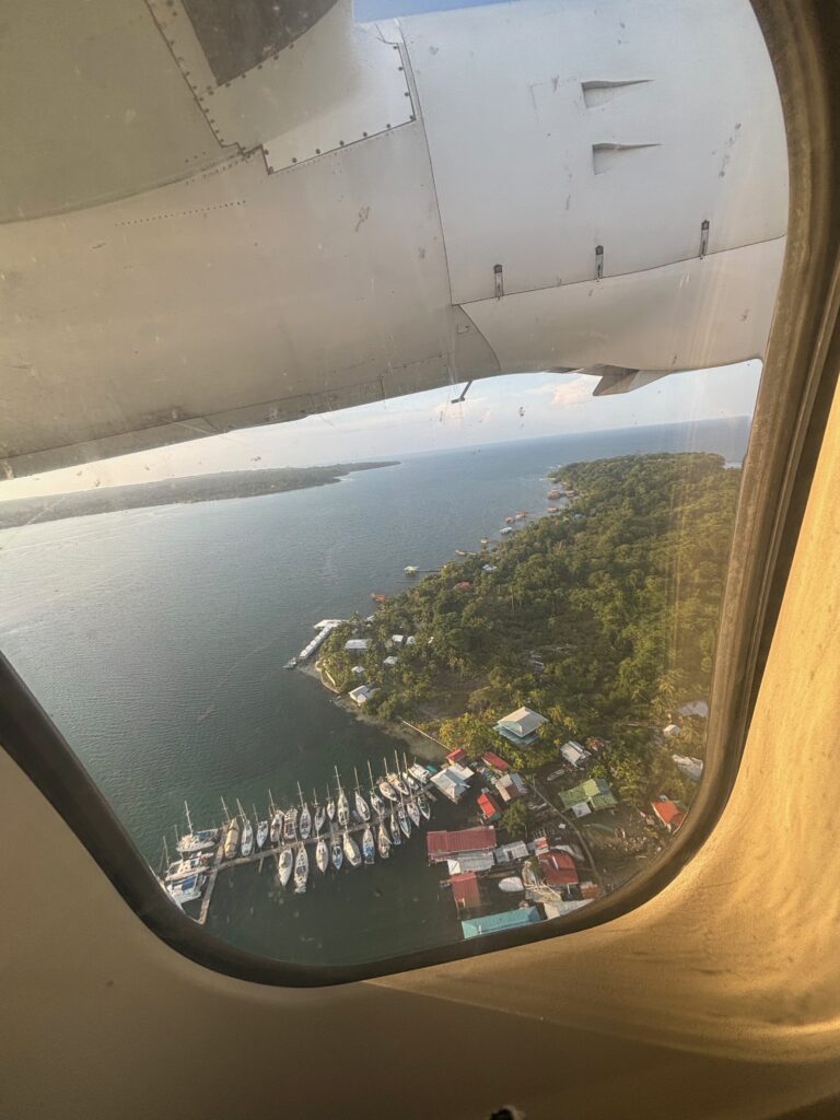 a view of a harbor from an airplane window