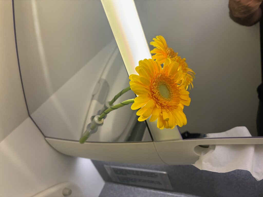 a yellow flower in a mirror