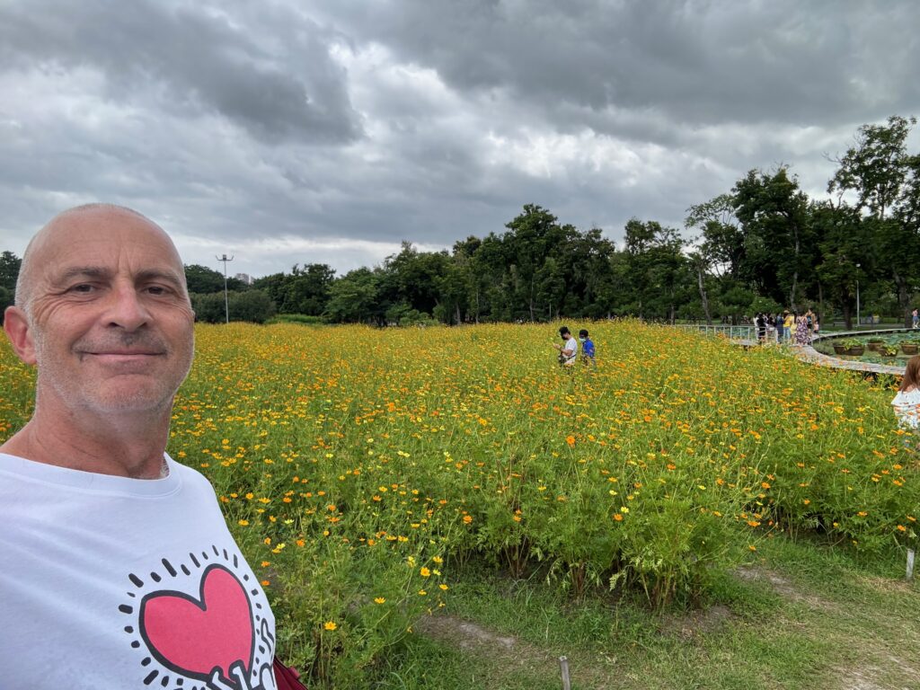 a man taking a selfie in a field of yellow flowers