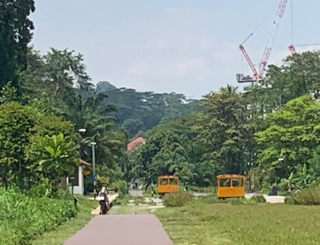 a road with a crane and a couple of trolleys