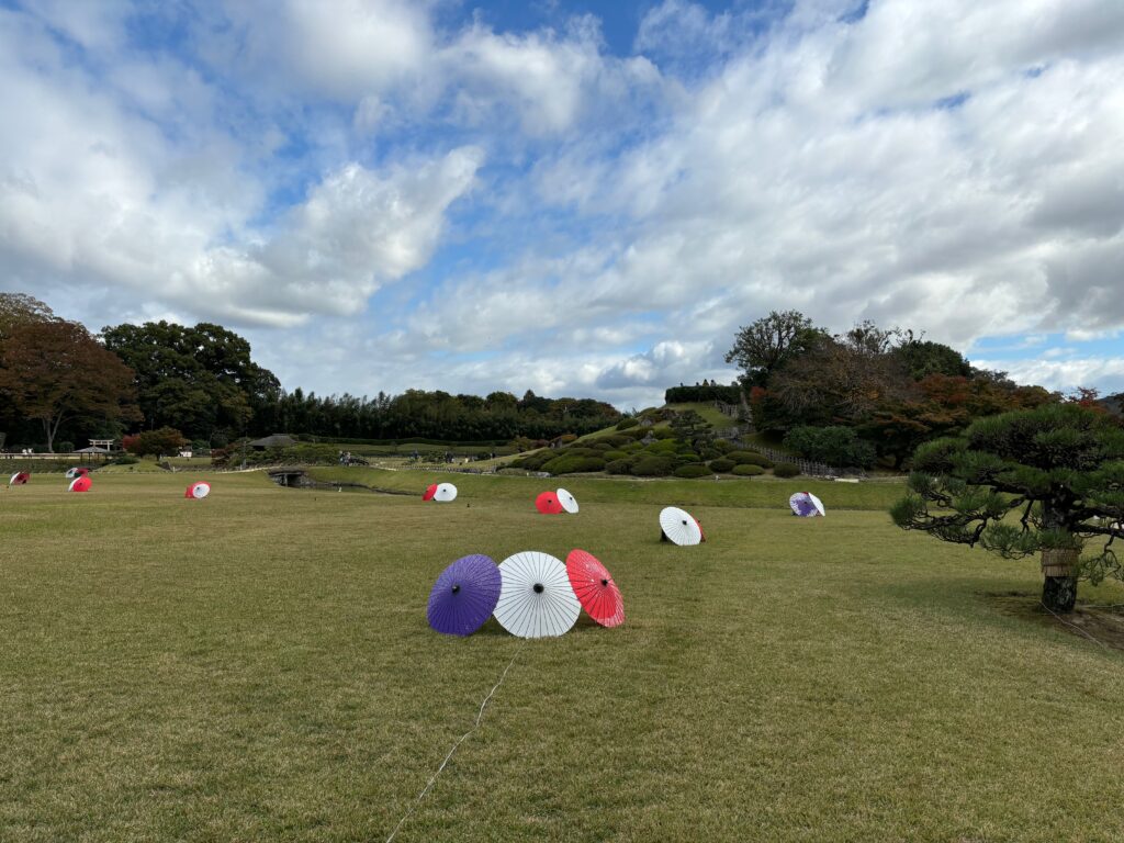 a group of umbrellas in a field