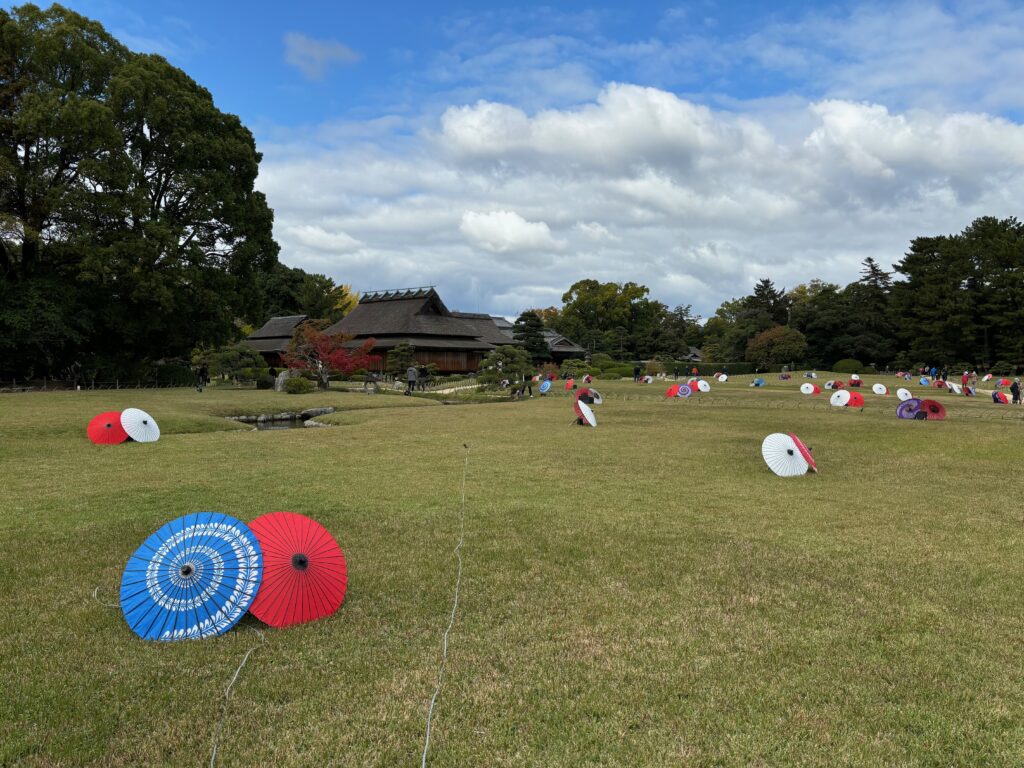 a group of umbrellas on a field