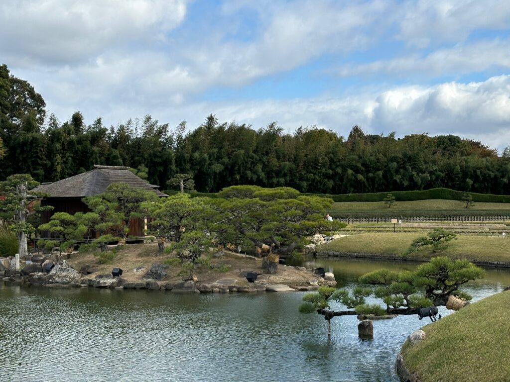 a small island with trees in the background