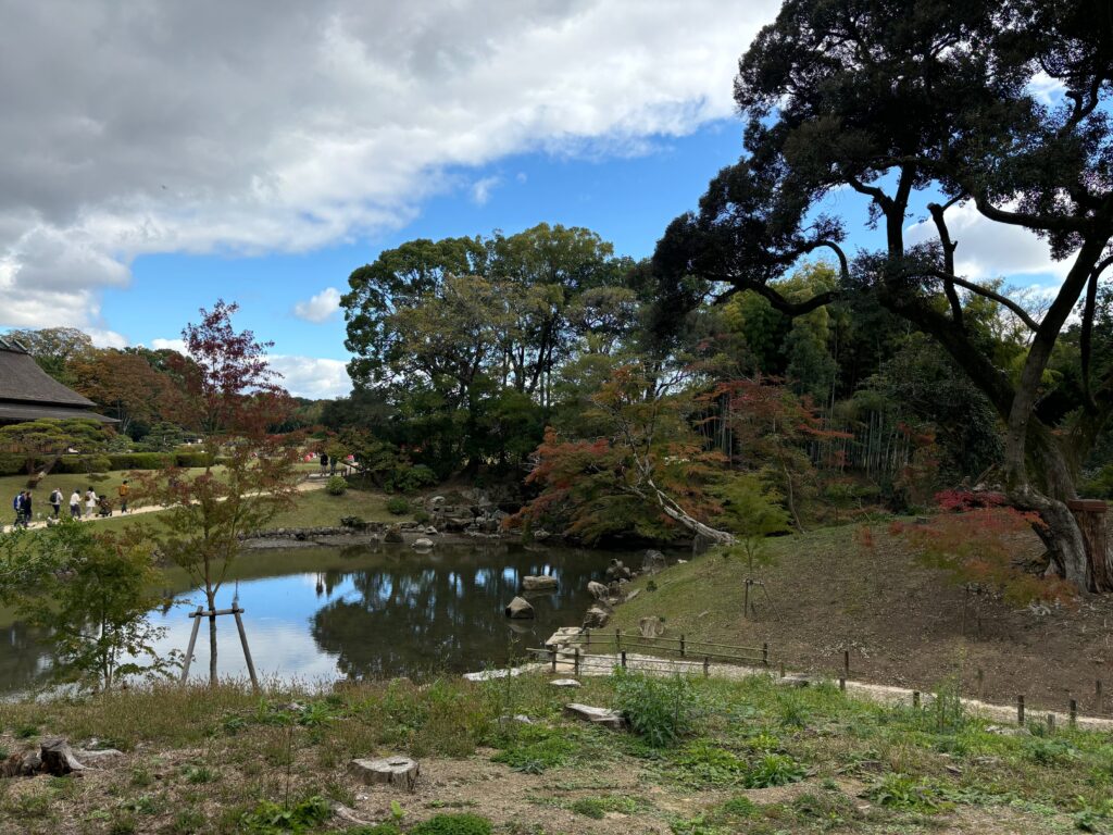 a pond with trees and bushes