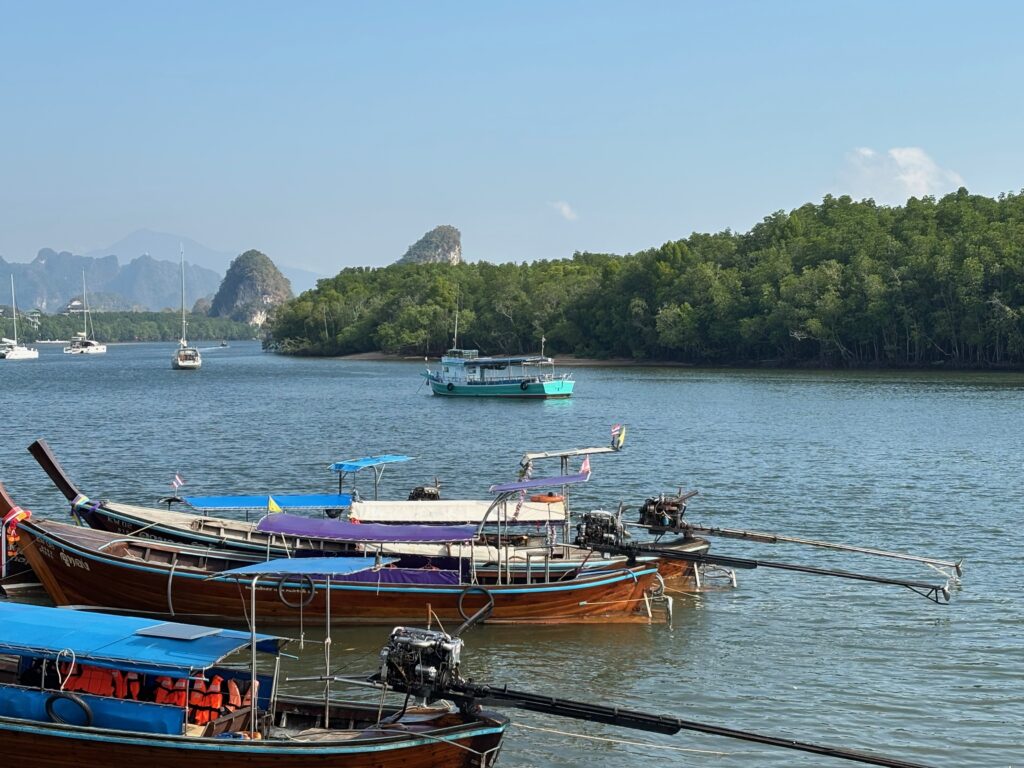 boats in a body of water with trees in the background