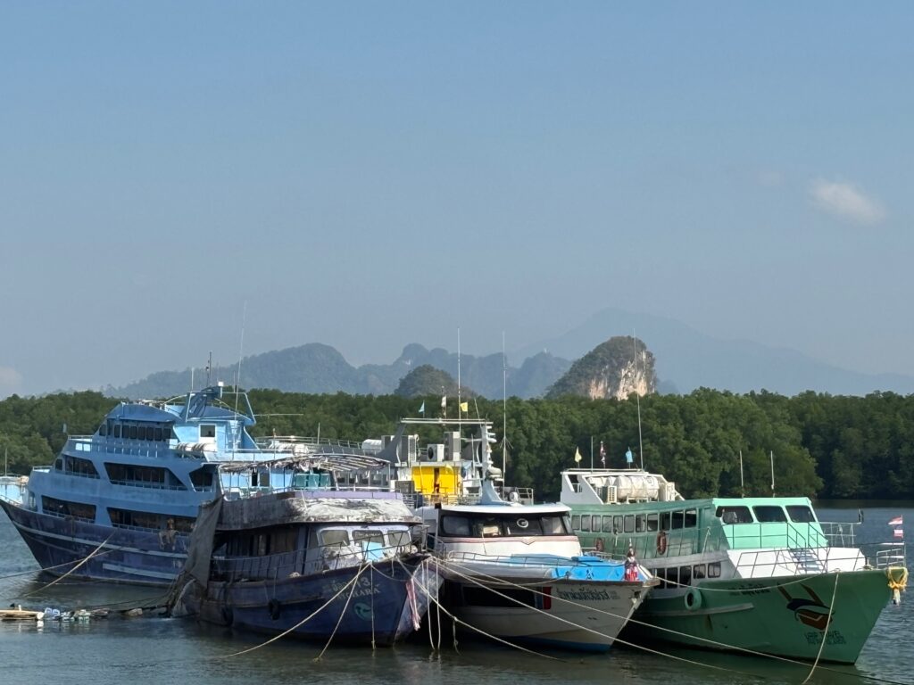 boats in a body of water