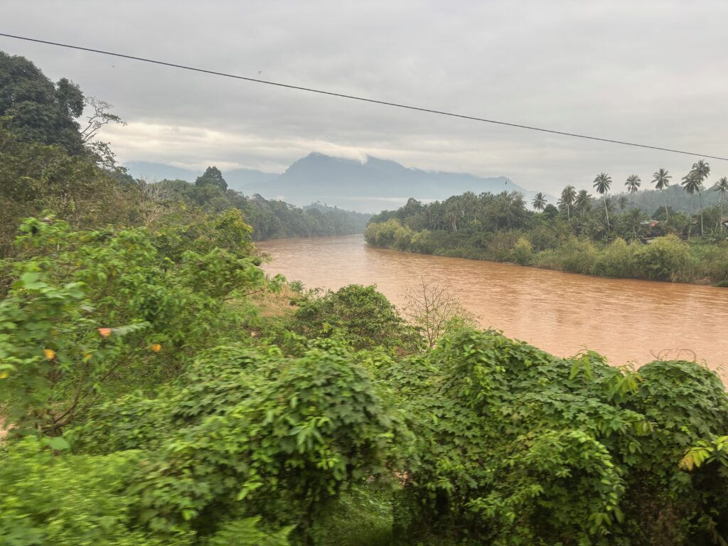 a river with trees and mountains in the background