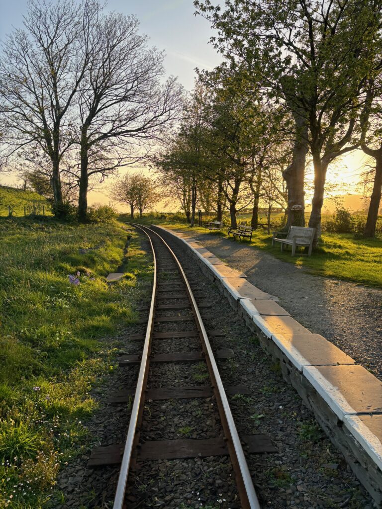 a train tracks with trees in the background