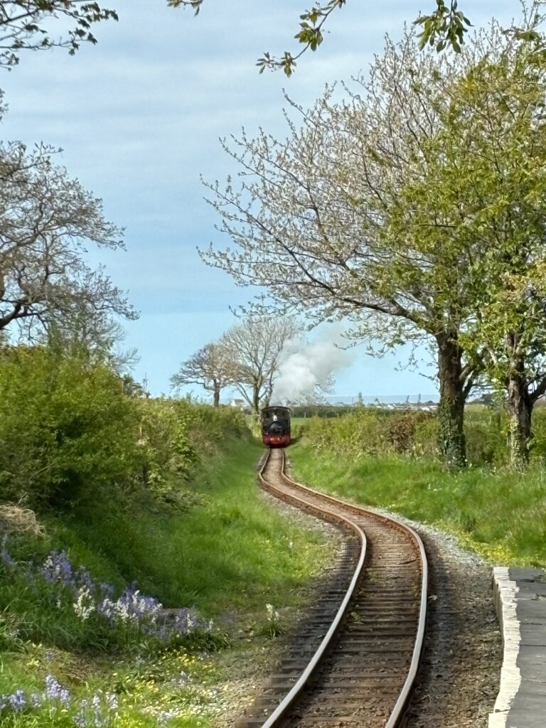 a train on the tracks