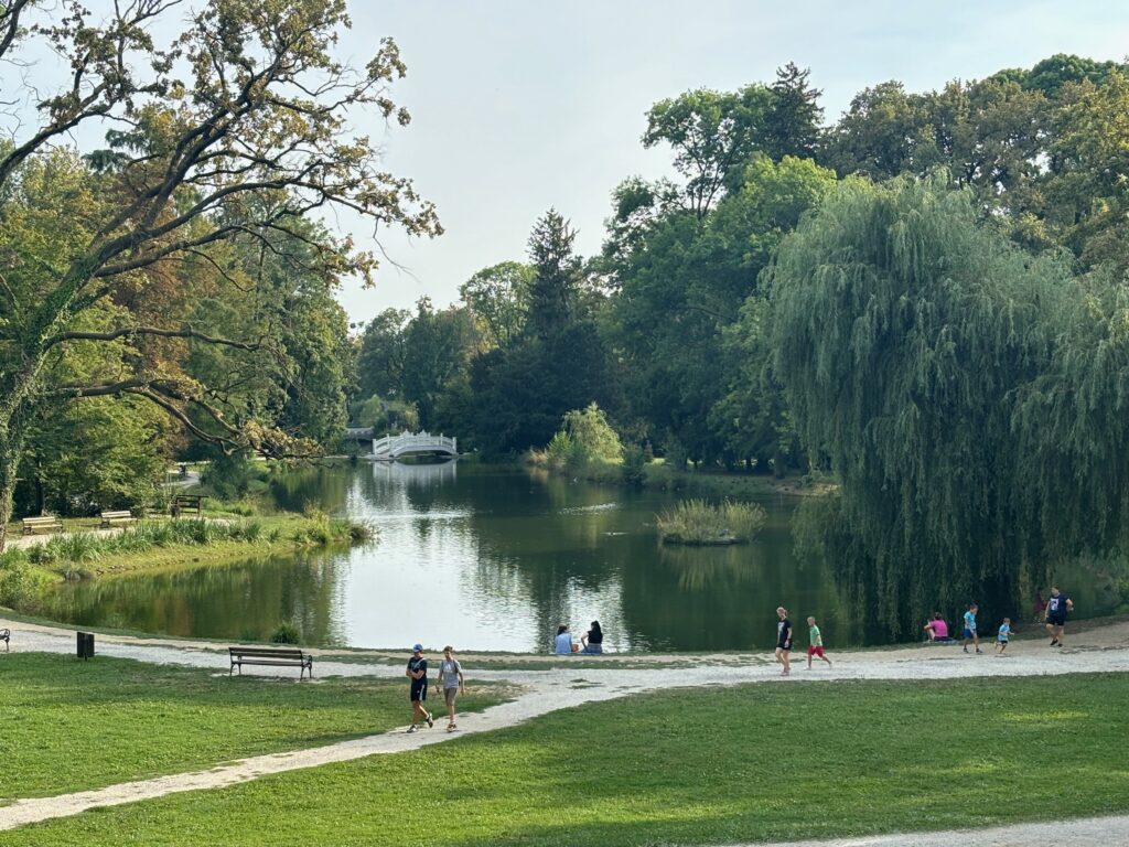 a group of people walking on a path near a lake