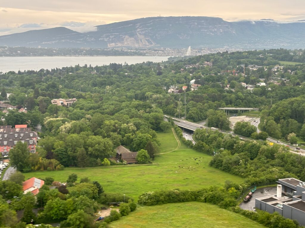 a green landscape with a road and trees