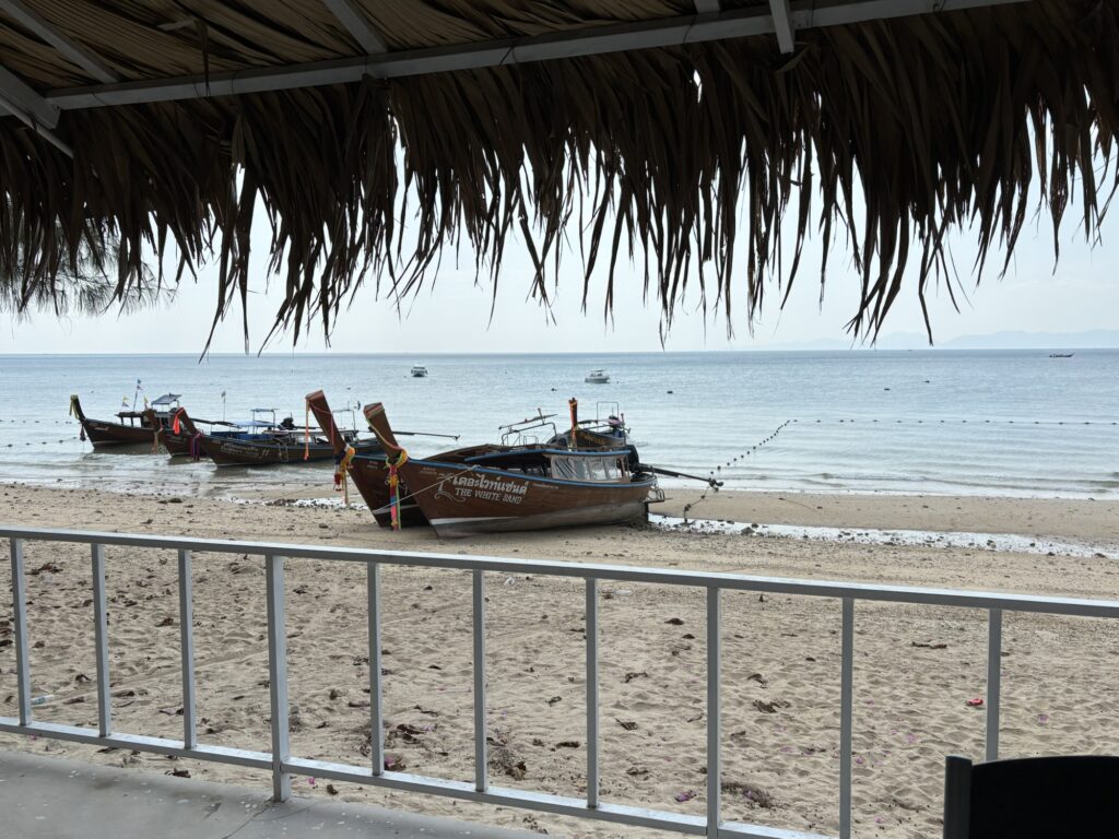 boats on a beach with a straw roof