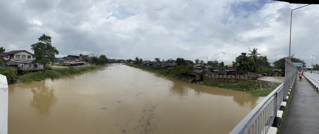 a river with houses and trees