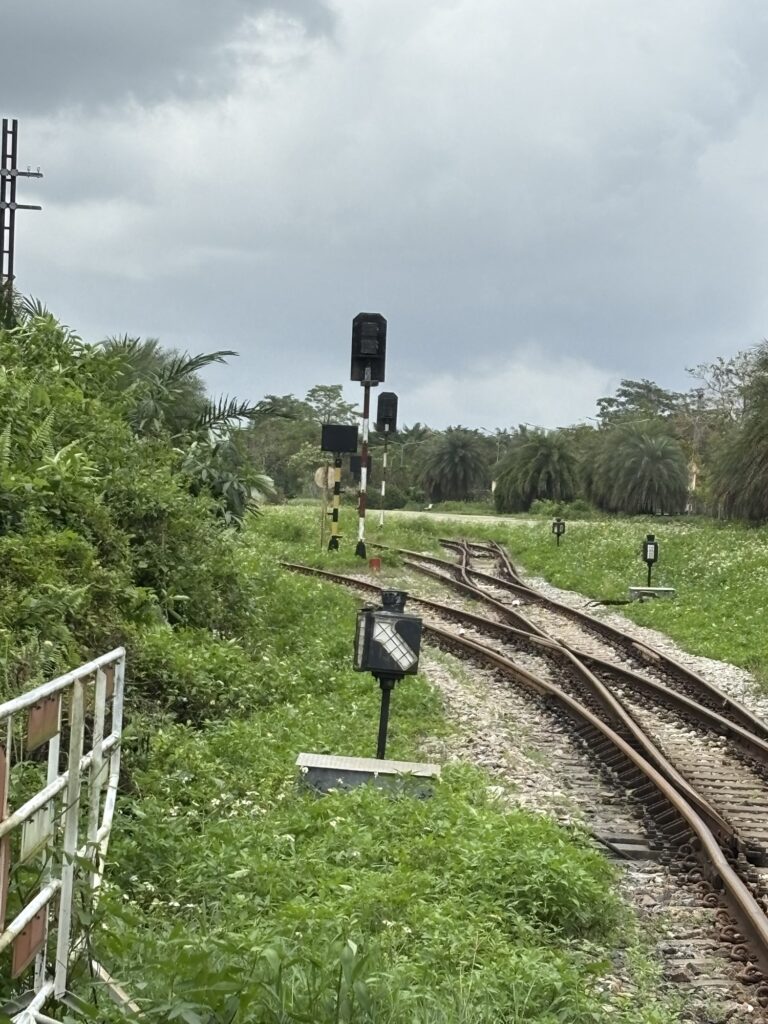 a train tracks in a grassy area